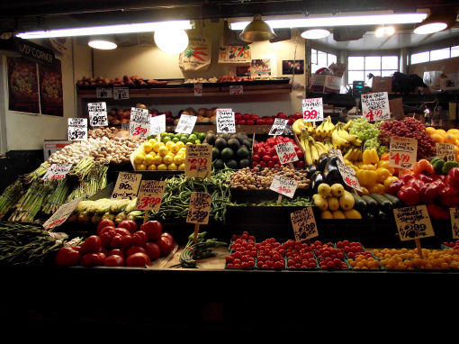 Camilla Dotti, un anno di studio negli States